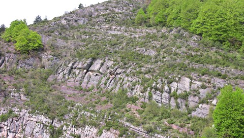 zaskogo
