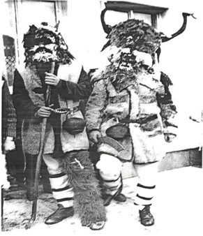 voini-1